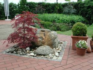 Brunnen mit japanischem Fächerahorn