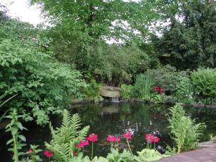 Gartenteich